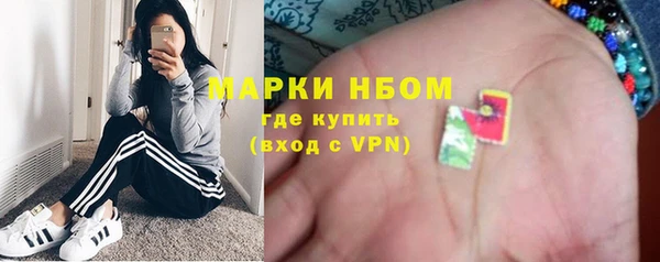 ешки Алексин