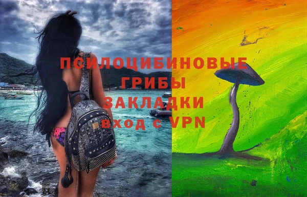 ешки Алексин