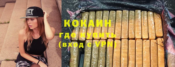 ешки Алексин