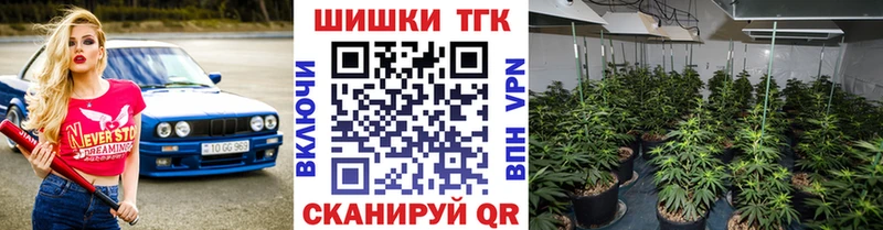 Бошки Шишки конопля  хочу наркоту  Венёв 